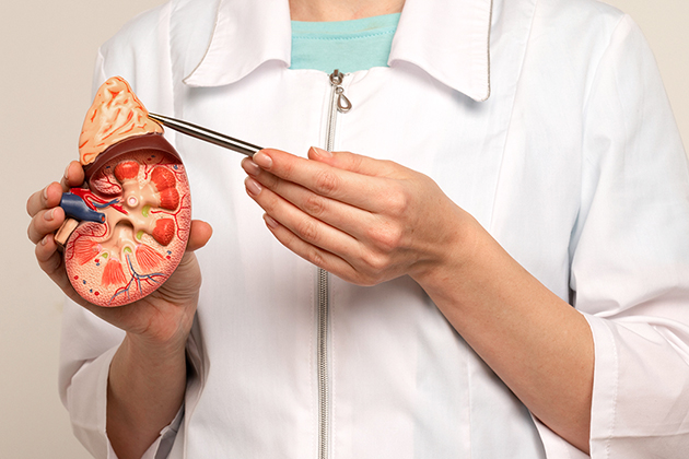 Гиперкортицизм: синдром и болезнь Иценко-Кушинга Гиперкортицизм: синдром и болезнь Иценко-Кушинга