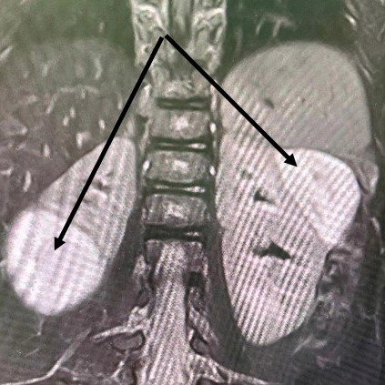 Фото: НПЦ специализированной медицинской помощи детям им. В.Ф. Войно-Ясенецкого 